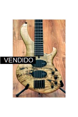 Maruszczyk Frog NT5 poplar top Maruszczyk Frog NT5 poplar top